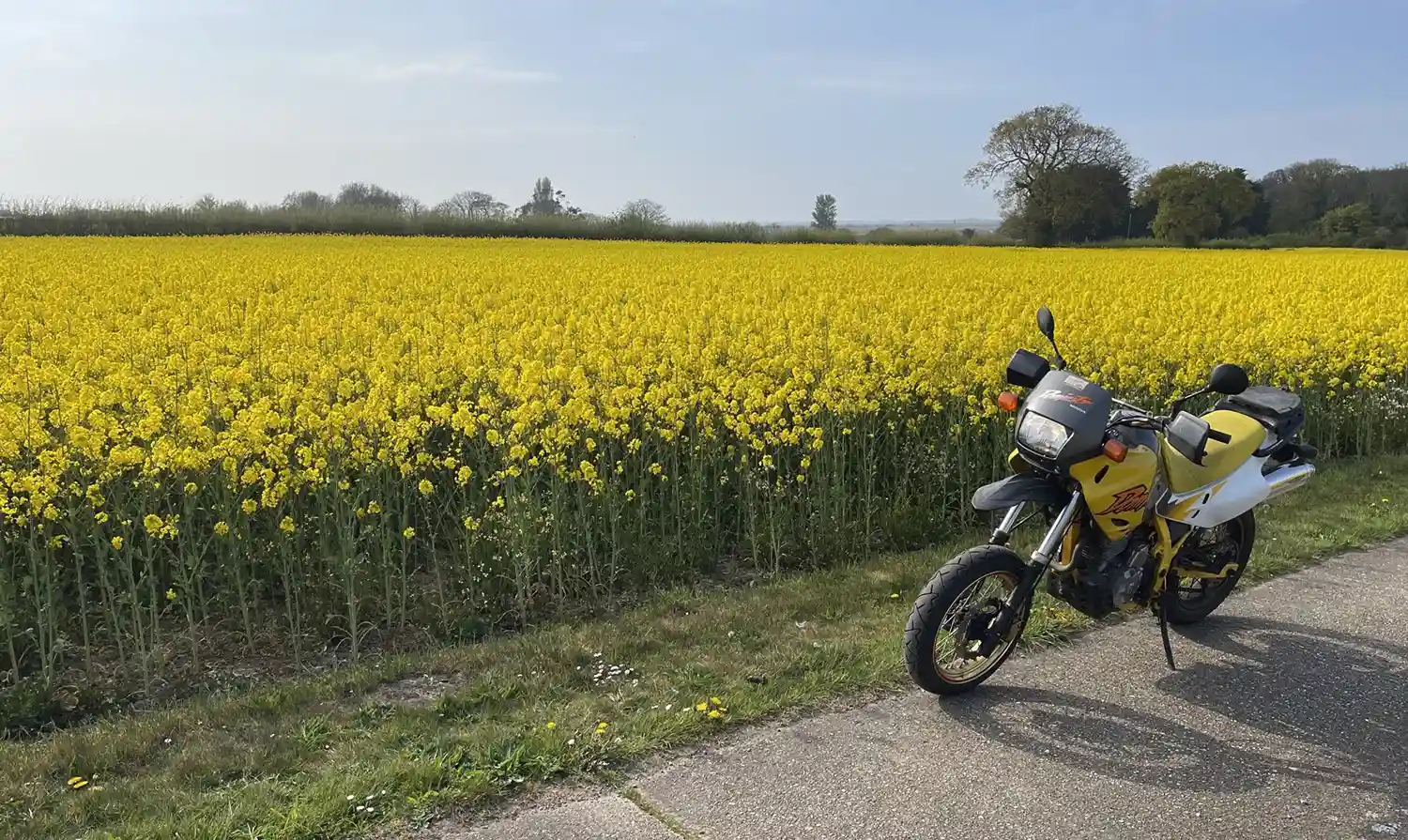 Bike of the Month