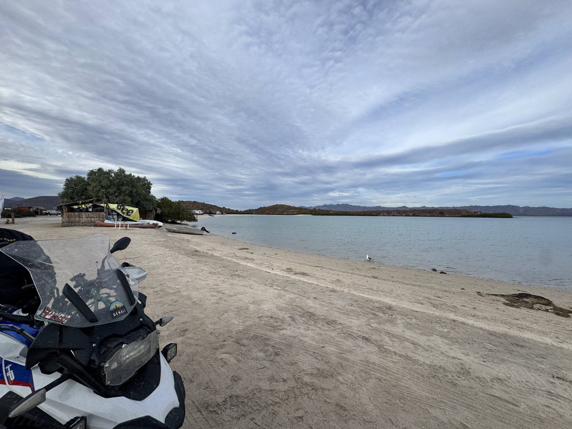 IMG_2818.thumb.JPG.7ae858ce1a8a07bdb3a24684fade6377.JPG
