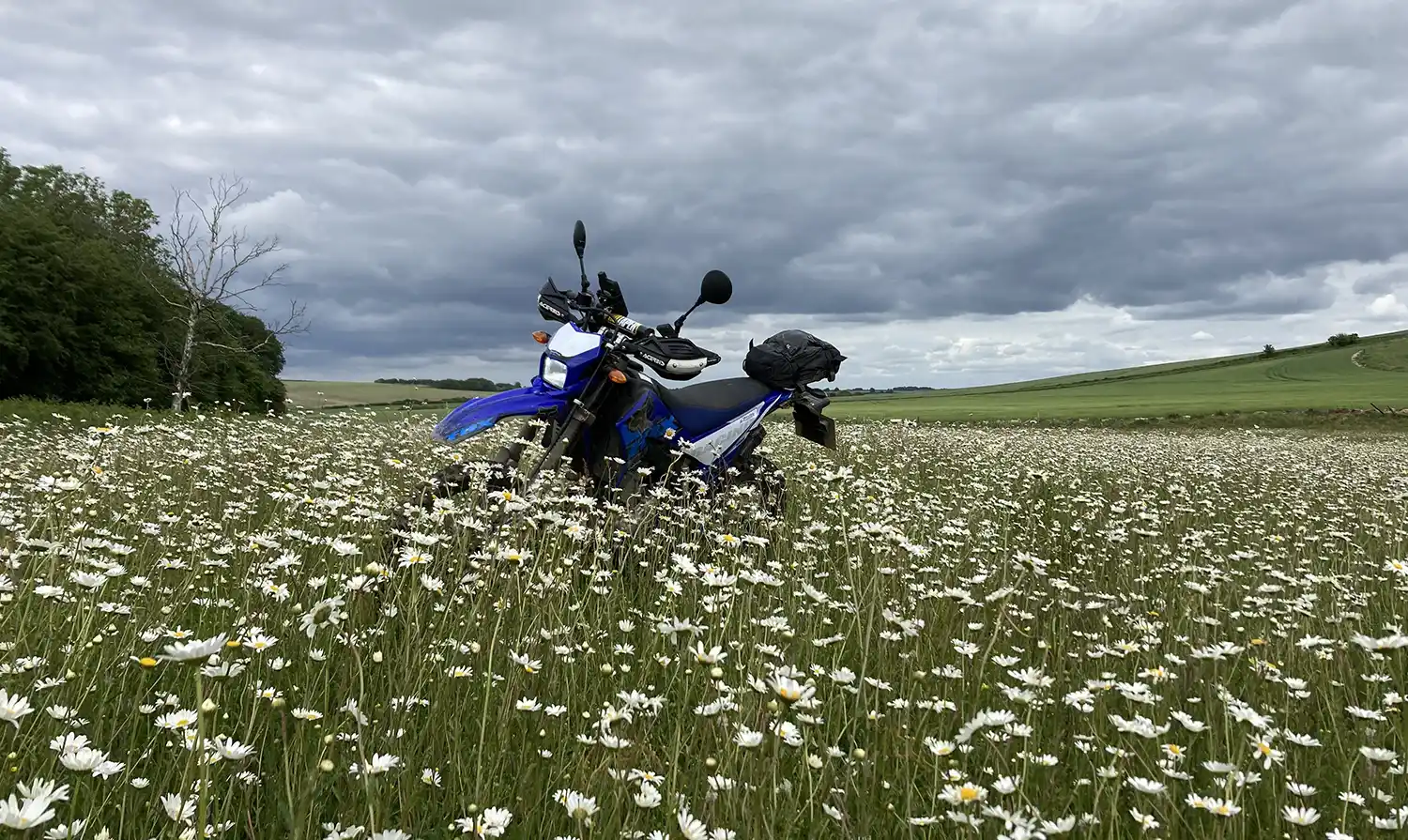 Bike of the Month