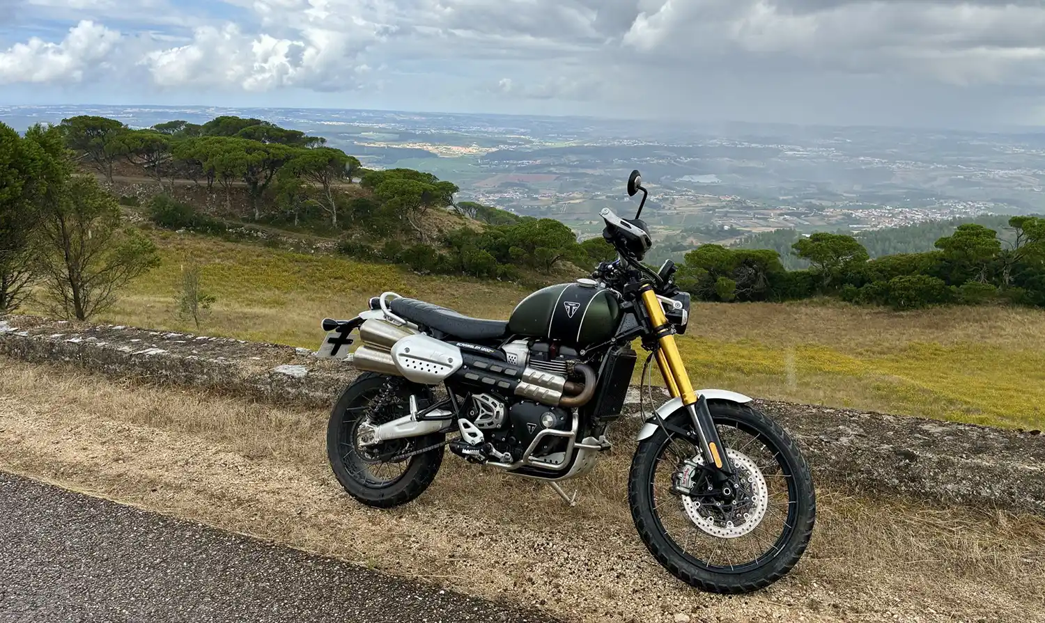 Bike of the Month